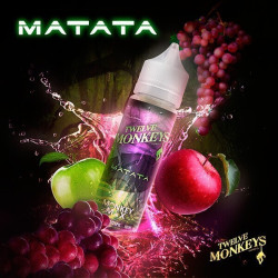 Matata de Twelve Monkeys