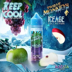 Matata Iced de Twelve Monkeys