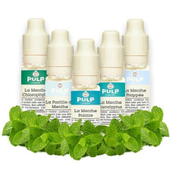 Pack e liquide menthe - Pulp