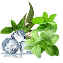 E-Liquide menthe